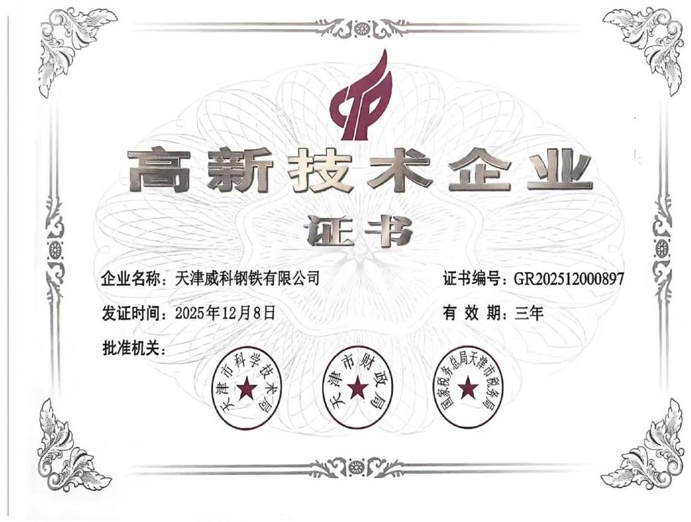High-Tech Enterprise (高新技术企业)